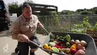 Daily Diet for the Gorillas at Durrell