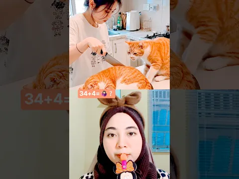 Bolu bentuk kucing, Lembut sekali🤤