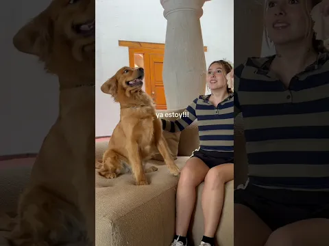 quién ganó? 🐶