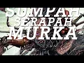 Download Lagu Grausig  \