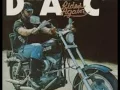 Willie, Waylon and Me by David Allan Coe from his DAC Rides Again album