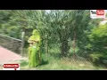 || LAHRIYO SA ✨ ( लहरियो सा ) || New Rajasthani Song 💫|| ft.Anibaisa || Rini Chandra | SP Jodha ||