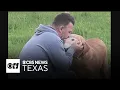 Denton County couple seeks justice after dog s euthanasia sparks outcry
