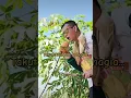 Download Lagu Orang Biasa - Badri Al Mubaraq