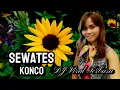 Download Lagu DJ SEWATES KONCO|| SEK ASIK ASIK ASIK TERBARU STYLE PARTY MENGKANE 