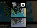 Download Lagu Cinematic Green Orange Color Grading Tutorial 🌿 | CapCut Mobile Editing