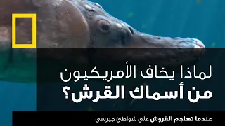 عندما تهاجم القروش على شواطئ جيرسي ناشونال جيوغرافيك أبوظبي 