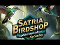 Download Lagu Update stock terbaru di satria birdshop banyak bongkaran burung yang anda cari,wambi redy,pleci dabu