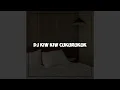 Download Lagu DJ KIW KIW CUKURUKUK