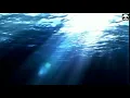 I Hope You Dance by Lee Ann Womack Lyric video