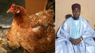 fassarar mafarkin kaza kaji