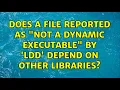 Ubuntu Does a file reported as not a dynamic executable by ldd depend on other libraries