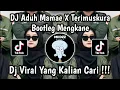 Download Lagu DJ ADUH MAMAE X TERIMUSKURA BOOTLEG JEDAG JEDUG VIRAL TIKTOK