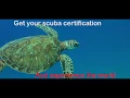 How to get PADI scuba certified in 3 easy steps