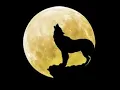 Moon Dawg Gamblers In Stereo Sound 1960 Instrumental