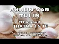 Download Lagu PURUN VAR (Thingpui) TUI IN Thatna 15 te