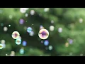 シャボン玉〜ふわりうかんだしゃぼんだま