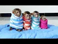 Lagu Most Cutest Four Littles Sit InLine Covering By Blanket Waiting For Mum Change Clothe