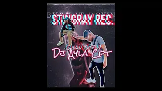 dj ayla cpt clean job 