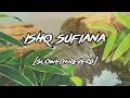 Ishq Sufiana (Slowed+Reverb) The Dirty Picture | Emraan Hashmi,Vidya Balan Vishal - Shekhar Reverbae