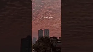 اليسا اغلى الحبايب 