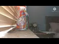 Download Lagu Slow Mo Duck Mr Muscle Duck Fresh Disc Johnson's Carex Henry Hoover