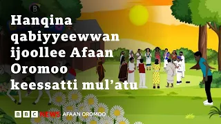 qabiyyeewwan animeeshinii afaan oromoon ijoolleef dhiyaatan maaliif hanqatan