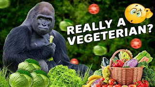 Do Silverback Gorillas Eat Meat