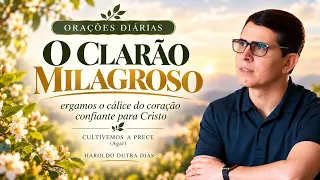 ✨ Oração do Cultivo da Prece ✨ CULTIVEMOS A PRECE - Haroldo Dutra Dias - AGAR - Chico Xavie