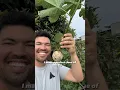 I made a perfect clone of a fruit tree