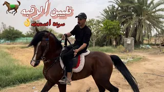   فلوق      خطوات سرعة الاستجابه في الاتجاهات للكر والفر   دندنها