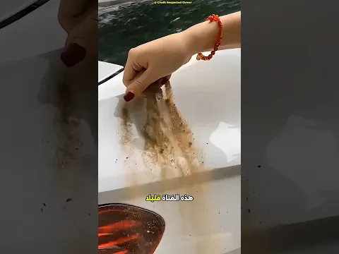 علامة غريبة على السيارة قادتها إلى اكتشاف صادم!😯