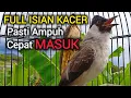 Lagu TOP MASTERAN KUTILANG GACOR FULL ISIAN KACER 100% AMPUH UNTUK KUTILANG MUDA