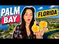 The Ultimate Pros and Cons for Living in Palm Bay Florida