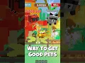 Download Lagu HOW TO GET RACCOON IN GROW A GARDEN #roblox #robloxgames #growagarden
