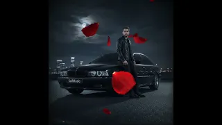 Maestro Barsik В нічку дуже темну цю  Maestro Barsik В нічку дуже темну цю