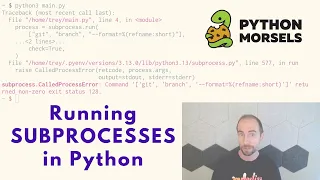 Running subprocesses in Python