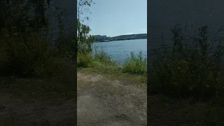 النسيم العليل 