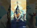 Download Lagu mera bhola hai bhandari #mahadev #bhandari #dj #religion