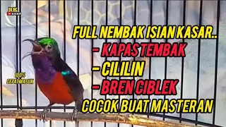 Download Kolibri Ninja Gacor Full Isian Kapas Tembak - Cililin \u0026 Bren ciblek❗Joz Buat Masteran Konin ombyokan MP3