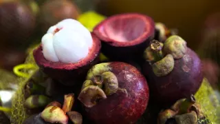 Mangosteen. 