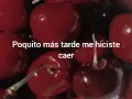 La ley y la trampa, Chaqueño Palavecino Letras//Lyrics