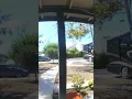 Anne Heche Car Crash Footage