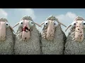 Download Lagu Oh Sheep!