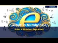 What is Number e Euler s Number Explained Simply