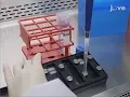 Peptide microarray immunoassay for diagnostic epitope discovery
