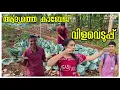 Lagu ഇക്കൊല്ലത്തെ ആദ്യ വിളവെടുപ്പ്.. /Snacks /Chappathi roll making /Family cooking /festival 