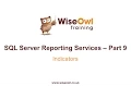 Reporting Services SSRS Part 9 - Indicators