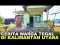 Download Lagu ANAK KERJA DI KAMBOJA, ORANG TUA DI KALIMANTAN MENANTI KABAR BAIK; WARGA TRANSMIGRASIA ASAL TEGAL
