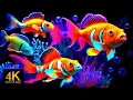 Download Lagu The Best 4K Aquarium – Soothing Jellyfish \u0026 Reef Fish with Sleep Music for Deep Relaxation